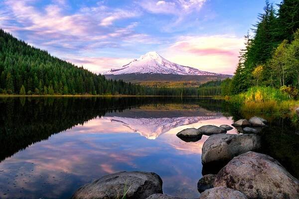 Compare Business Energy Plans in Oregon