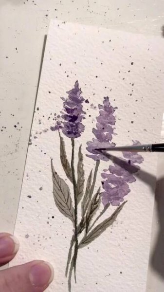 Obsahuje obrázek: Watercolor Lavenders