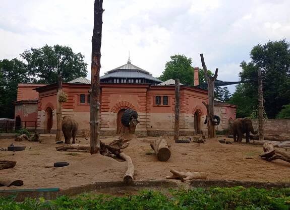 Wroclaw: TIP na výlet: ZOO Wroclaw - jedna z nejvyhledávanějších ZOO v Evropě. Stojí za to ji navštívit? - Regiony ČR.cz