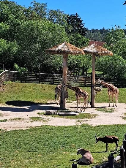 Základní škola Meteorologická | Výprava do ZOO
