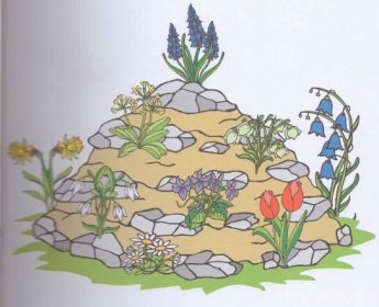 Už umíš pojmenovat nějakou jarní kytičku? Ukaž na obrázku, která je sněženka, petrklíč, bledule, tulipán, narciska, sedmikráska, modřenec, fialka a zvonek. 3.