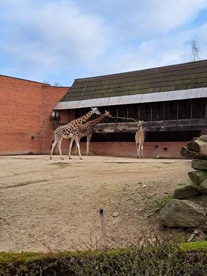 ZOO Liberec | ZŠ Ostašov