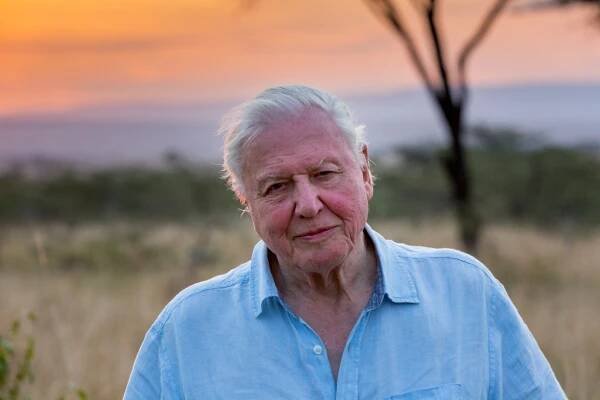 Ještě nemusí být pozdě. David Attenborough burcuje ve jménu planety