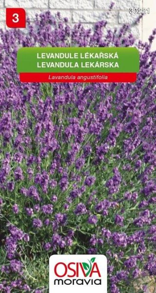 Semínka Levandule lékařská (Levandula angustifolia)