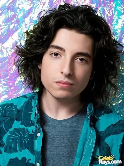 Finn Wolfhard brother