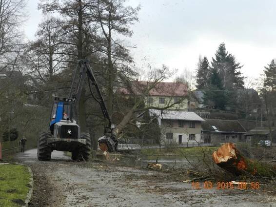 Kácení stromů u hráze - Oficiální stránky obce Opatovice I
