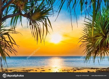 Stáhnout - Západ slunce moře a pláž s kokosovou palmou a západem slunce na dramatické obloze — Stock obrázek