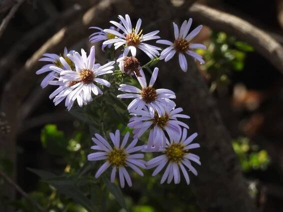Tennessee Valley – October – Marin = Hike
