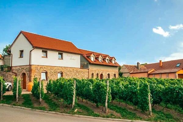 Penzion Vinařství Lintner - Tvořihráz, Jižní Morava