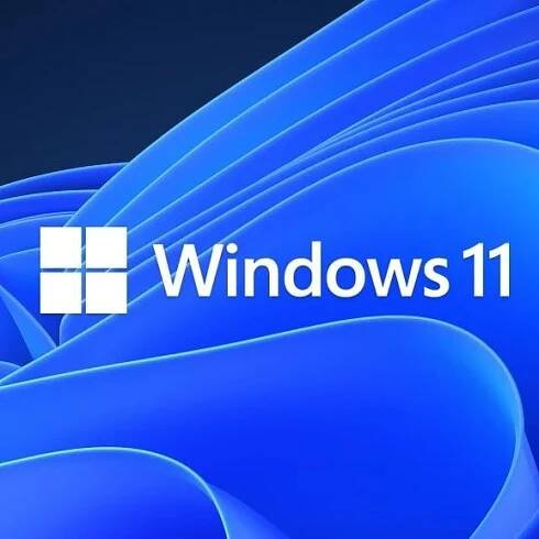 Windows 11 adoption grows as businesses finally get around to upgrading their devices