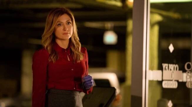 Rizzoli and Isles: Pyšná máma Sasha Alexander ukázala šikovnou dceru