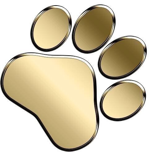 DRY FOOD FOR CATS – EMPIRE SUPER PETFOOD