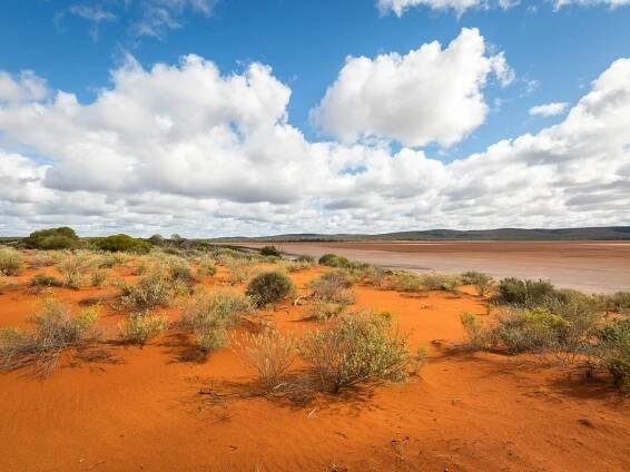 Mt Gibson Wildlife Sanctuary | Australian Wildlife Conservancy