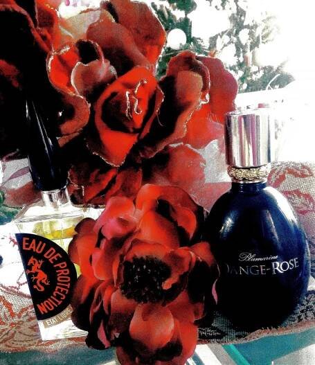 Dange-Rose Blumarine pro ženy