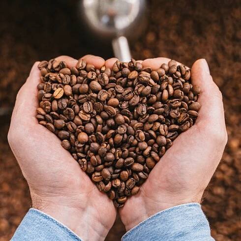 Káva Zrnková 1 kg | 100 % ARABICA | Italská Káva Crema Aroma Regina Bona za 634.00CZK - Allegro