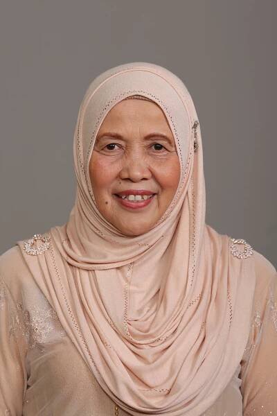 Photo - YB Datuk Hajah Siti Aminah binti Aching- Click to open the Member of Parliament profile