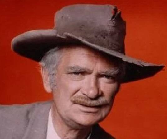 Buddy Ebsen Biography - Facts, Childhood, Family Life & Achievements