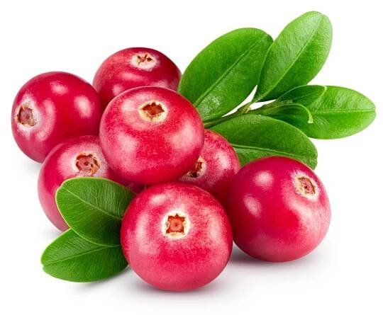 Brusinky — Stock obrázek