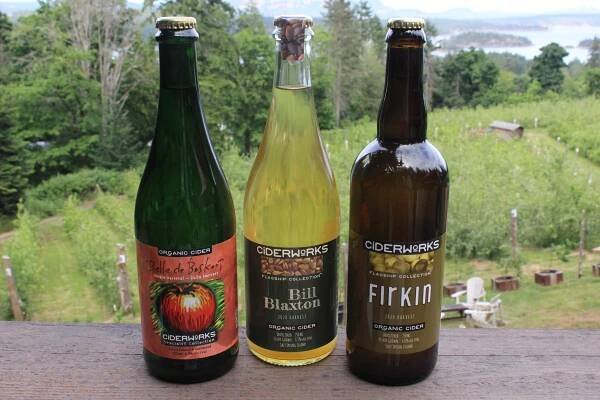 Store 1 — Ciderworks