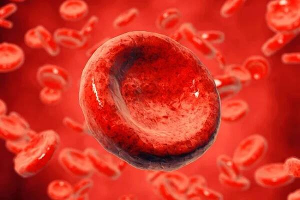 Hemoglobin levels of men and women are different.