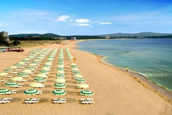 Hotel Forest 4*