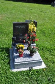 Český Dub | Detail hřbitova | Databáze historických hřbitovů