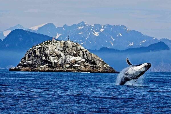 Red Bay National Historic Site | Whizzed Net