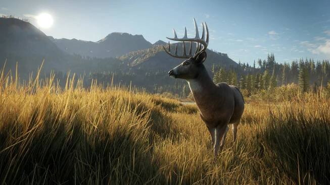Nordisk Games – Avalanche Studios Group