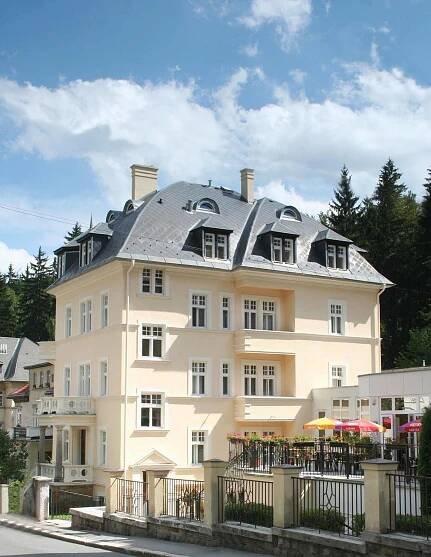 Lázeňská léčebna Mánes - hotel - Karlovy Vary