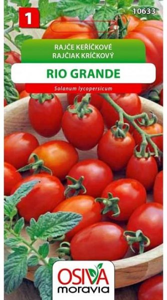 Rajče Keříčkové - Rio Grande (Solanum lycopersicum) nakoupit u OBI