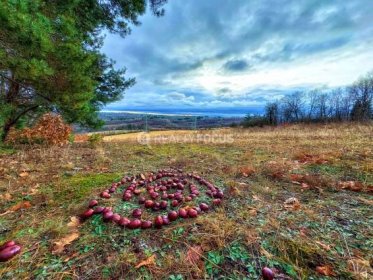 Ojedinělá příležitost zakoupit soubor stavebních a zemědělských pozemků zasazených do nádherné přírody v Černolicích