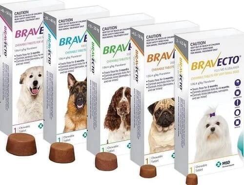 Proč je Bravecto pro psy nebezpečné?