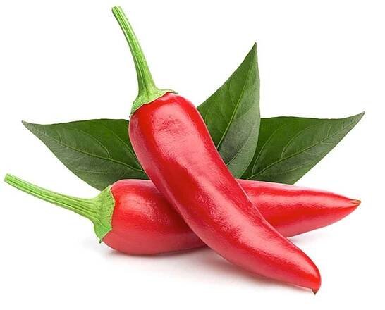 Kapsle Smart Garden se semínky a substrátem - Chilli papričky, 3 ks