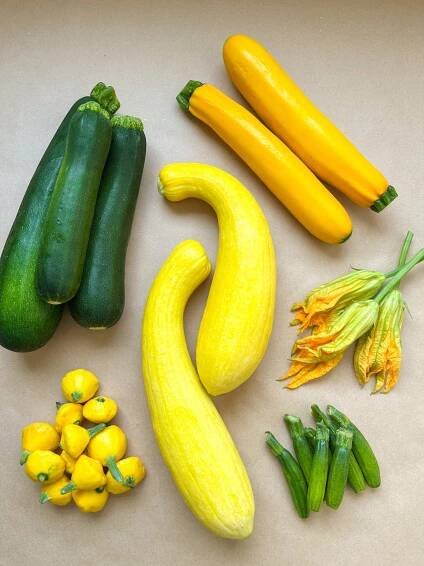 Summer Squash Types VS Fall Squash Types - Keany Produce & Gourmet