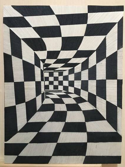 Optic Illusion Drawing