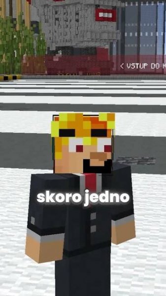 Pozval jsem 1000 Hráčů na můj server..