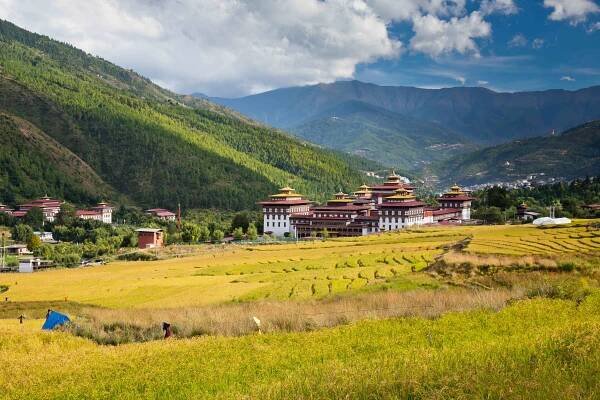Home | FAO in Bhutan | Food and Agriculture Organization of the United Nations 
