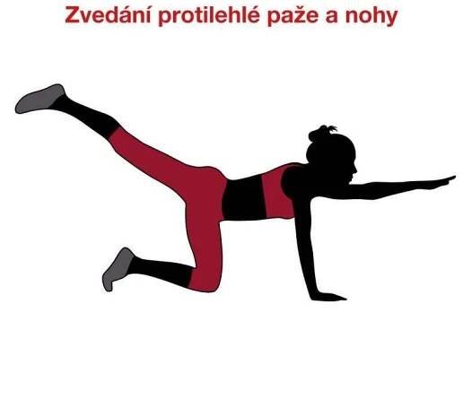 M_cvik4_zvedani_paze_a_nohy