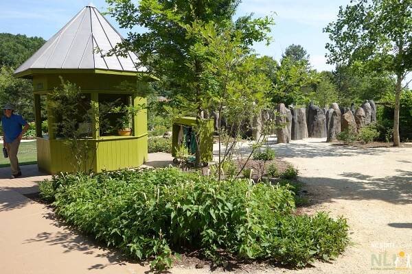 kidZone Post Occupancy Evaluation | NLI