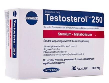Testosterol 250 - Megabol