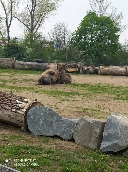 Zoopark Vyškov 7.5.2022 ,1.část