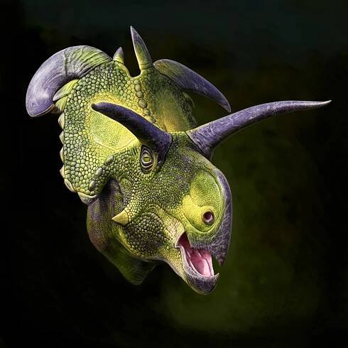 Nově objevený druh dinosaura Lokiceratops