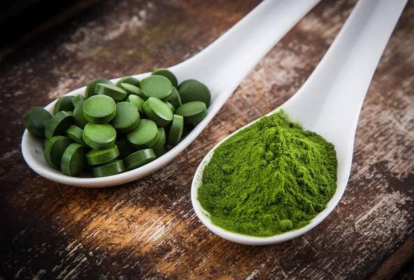 Mladý ječmen a chlorella, spirulina. — Stock obrázek