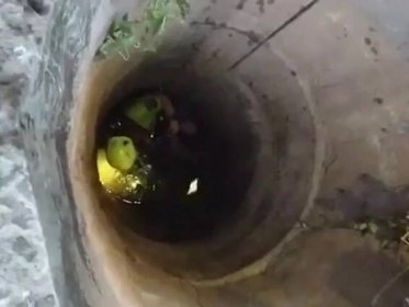 Man rappels down deep well to rescue python in Thailand