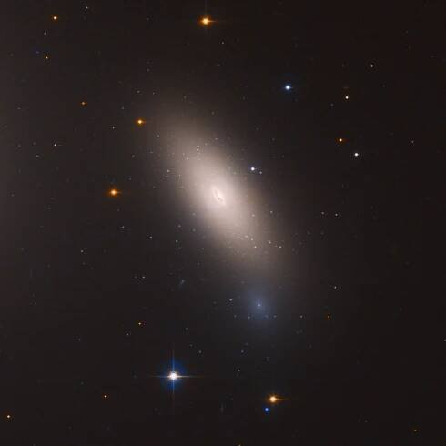 Arrested Development: Hubble Finds Relic Galaxy Close to Home - NASA Science