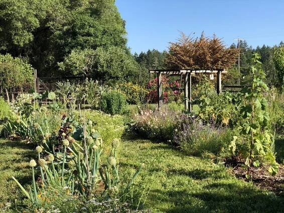 Garden.JPG