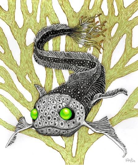 Drawings – John Casey