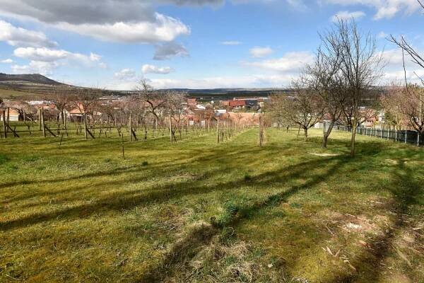 Prodej pozemku, 1.351 m2 pro výstavbu RD v obci Milovice u Mikulova - Reality Rajhrad