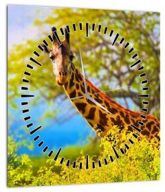 Obraz žirafy v Africe (s hodinami)