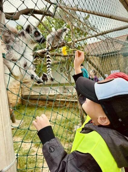 Zoo Vyškov - Oficiální stránky Mateřská škola Kučerov